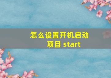 怎么设置开机启动项目 start